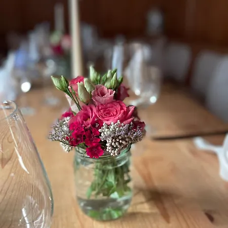 Fischerrosl 3*