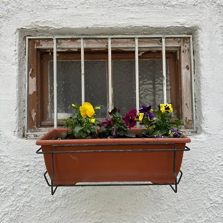Fischerrosl
